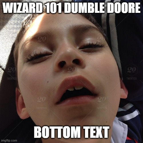 Image of me if I was a wizard | WIZARD 101 DUMBLE DOORE; BOTTOM TEXT | image tagged in funny,memes,cool,harry potter,wizard of oz,epic | made w/ Imgflip meme maker