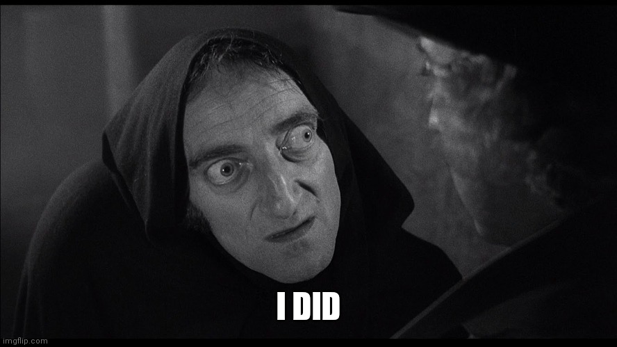 young frankenstein igor | I DID | image tagged in young frankenstein igor | made w/ Imgflip meme maker