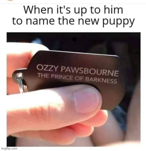 Name | . | image tagged in ozzy osbourne | made w/ Imgflip meme maker