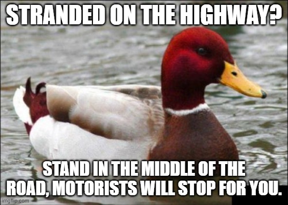 Malicious Advice Mallard Meme |  STRANDED ON THE HIGHWAY? STAND IN THE MIDDLE OF THE ROAD, MOTORISTS WILL STOP FOR YOU. | image tagged in memes,malicious advice mallard | made w/ Imgflip meme maker