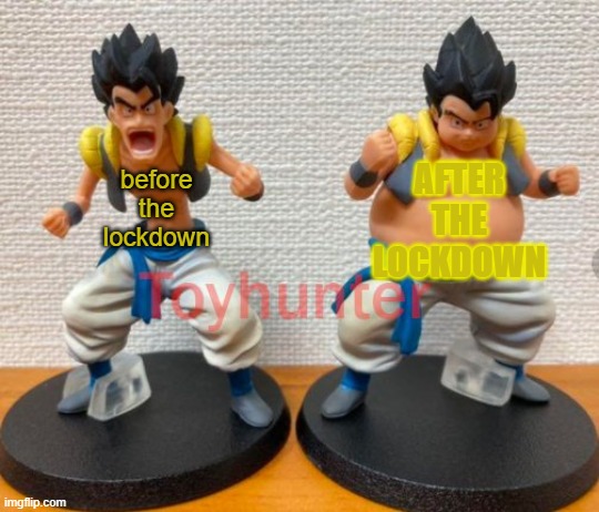 it kinda sucks |  AFTER THE LOCKDOWN; before the lockdown | image tagged in lockdown,health,dragon ball | made w/ Imgflip meme maker