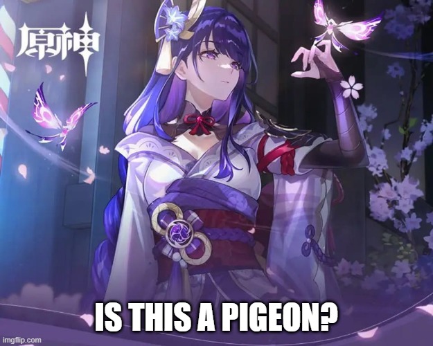 Raiden Shogun Being Herself | IS THIS A PIGEON? | image tagged in genshin impact,is this a pigeon | made w/ Imgflip meme maker