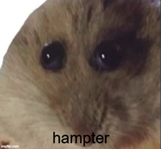 Hampter | hampter | image tagged in hampter | made w/ Imgflip meme maker