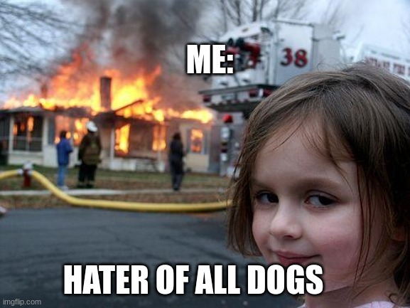 Disaster Girl Meme | ME:; HATER OF ALL DOGS | image tagged in memes,disaster girl | made w/ Imgflip meme maker
