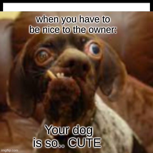  when you have to be nice to the owner:; Your dog is so.. CUTE | image tagged in be nice,be careful who you call ugly in middle school,dogs | made w/ Imgflip meme maker