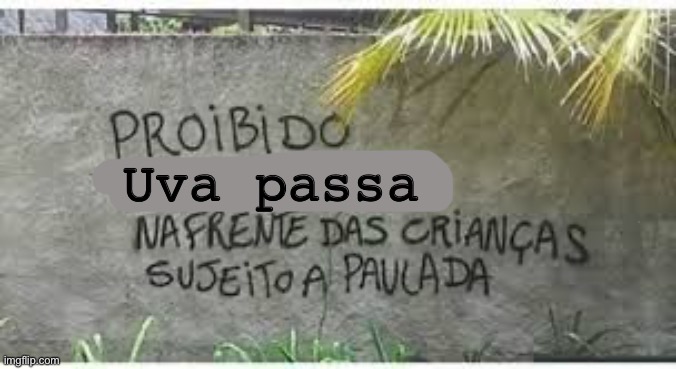 Proibido ___ sujeito a paulada | Uva passa | image tagged in proibido ___ sujeito a paulada | made w/ Imgflip meme maker