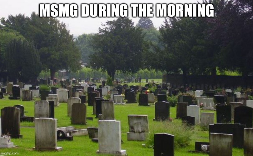 Graveyard | MSMG DURING THE MORNING | image tagged in graveyard | made w/ Imgflip meme maker