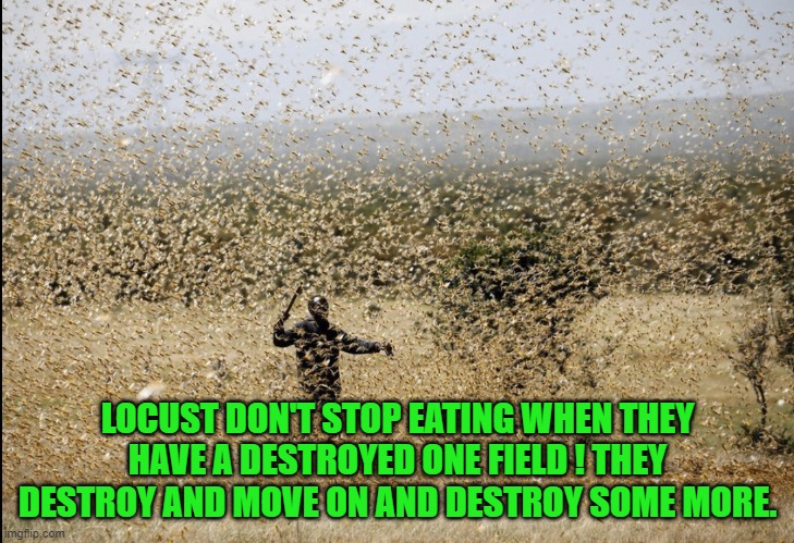 Locust Swarm | LOCUST DON'T STOP EATING WHEN THEY HAVE A DESTROYED ONE FIELD ! THEY DESTROY AND MOVE ON AND DESTROY SOME MORE. | image tagged in locust swarm | made w/ Imgflip meme maker