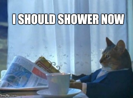 I Should Buy A Boat Cat | I SHOULD SHOWER NOW | image tagged in memes,i should buy a boat cat,AdviceAnimals | made w/ Imgflip meme maker