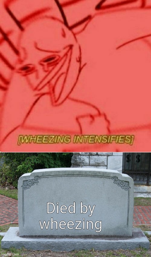 Died by wheezing | image tagged in wheeze,gravestone | made w/ Imgflip meme maker