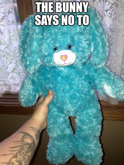 the meme i made up with a gole image the bunny says no | THE BUNNY SAYS NO TO | image tagged in the bunny says no | made w/ Imgflip meme maker