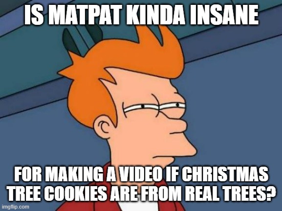 That is kinda weird | IS MATPAT KINDA INSANE; FOR MAKING A VIDEO IF CHRISTMAS TREE COOKIES ARE FROM REAL TREES? | image tagged in memes,futurama fry | made w/ Imgflip meme maker
