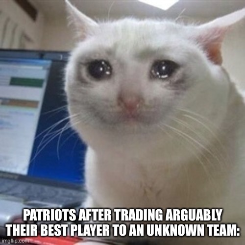 Crying cat | PATRIOTS AFTER TRADING ARGUABLY THEIR BEST PLAYER TO AN UNKNOWN TEAM: | image tagged in crying cat | made w/ Imgflip meme maker