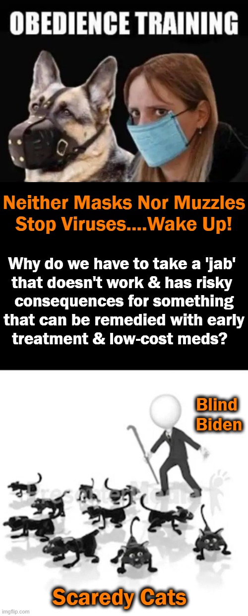 The Scamdemic & Its Scariants Are Only Scaring The Sheeple. . . . | Neither Masks Nor Muzzles
Stop Viruses....Wake Up! Why do we have to take a 'jab' 
that doesn't work & has risky 
consequences for something
that can be remedied with early
treatment & low-cost meds? Blind 
Biden; Scaredy Cats | image tagged in politics,joe biden,covid,masks,mandates,censorship | made w/ Imgflip meme maker