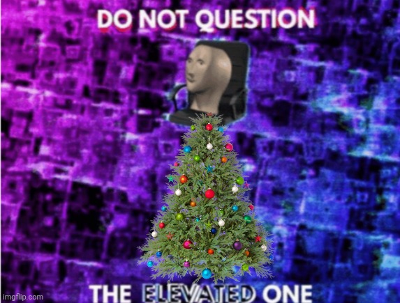 Do not question the elevated one | image tagged in do not question the elevated one | made w/ Imgflip meme maker