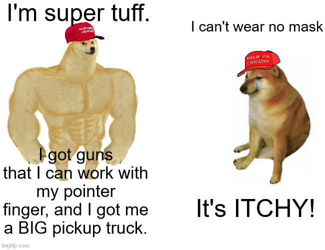 The maga tuff guy paradox. MASK UP, GET THE VAX (& BOOSTER). Don't be an idiot. | I'm super tuff. I can't wear no mask; I got guns that I can work with my pointer finger, and I got me a BIG pickup truck. It's ITCHY! | image tagged in memes,buff doge vs cheems,macho macho maga | made w/ Imgflip meme maker