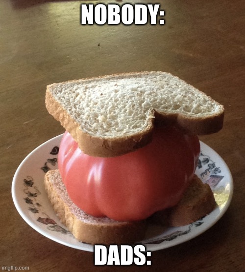Tomato Sandwich | NOBODY:; DADS: | image tagged in tomato sandwich | made w/ Imgflip meme maker