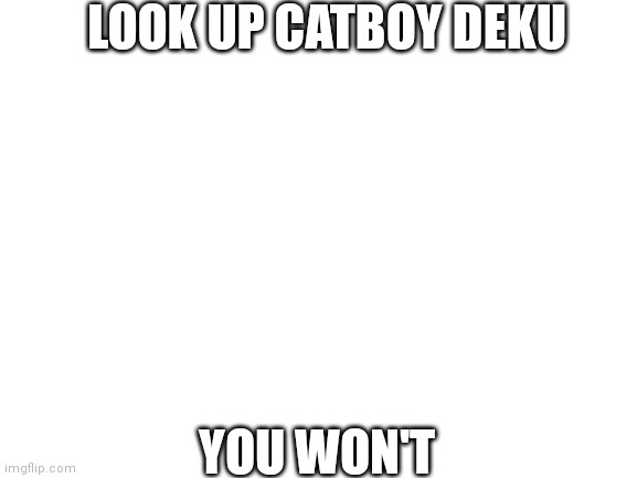 Blank White Template | LOOK UP CATBOY DEKU; YOU WON'T | image tagged in blank white template | made w/ Imgflip meme maker