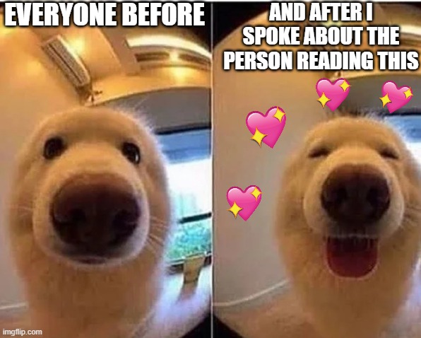 happy domge | EVERYONE BEFORE; AND AFTER I SPOKE ABOUT THE PERSON READING THIS | image tagged in wholesome doggo,wholesome,dog,cute | made w/ Imgflip meme maker
