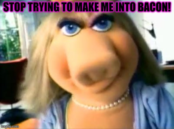 Mad Miss Piggy | STOP TRYING TO MAKE ME INTO BACON! | image tagged in mad miss piggy | made w/ Imgflip meme maker