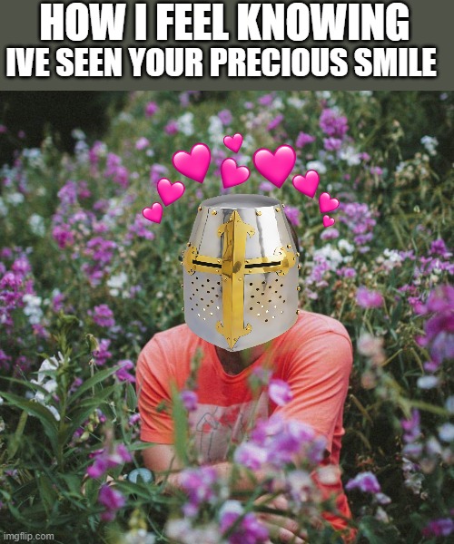 ahhh....inner peace | HOW I FEEL KNOWING; IVE SEEN YOUR PRECIOUS SMILE | image tagged in wholesome meme boy,wholesome,crusader | made w/ Imgflip meme maker