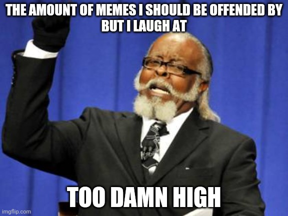 Too Damn High Meme | THE AMOUNT OF MEMES I SHOULD BE OFFENDED BY
BUT I LAUGH AT; TOO DAMN HIGH | made w/ Imgflip meme maker