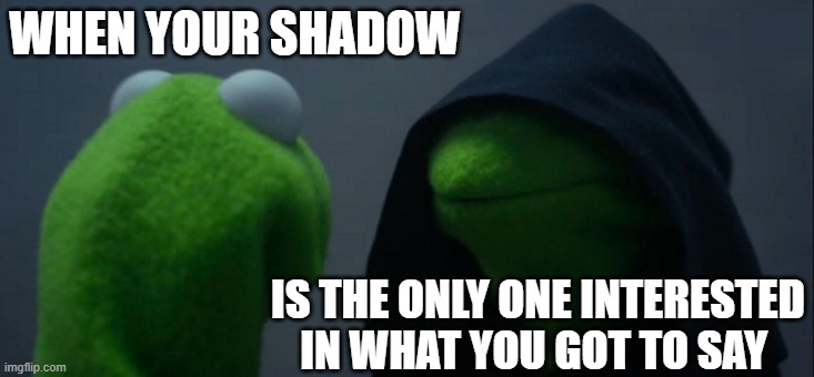 Evil Kermit Meme | WHEN YOUR SHADOW; IS THE ONLY ONE INTERESTED IN WHAT YOU GOT TO SAY | image tagged in memes,evil kermit | made w/ Imgflip meme maker