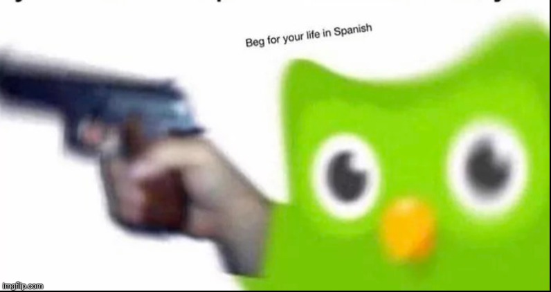 Beg for your life in Spanish | image tagged in beg for your life in spanish | made w/ Imgflip meme maker