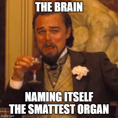 i am witty | THE BRAIN; NAMING ITSELF THE SMARTEST ORGAN | image tagged in memes,laughing leo | made w/ Imgflip meme maker