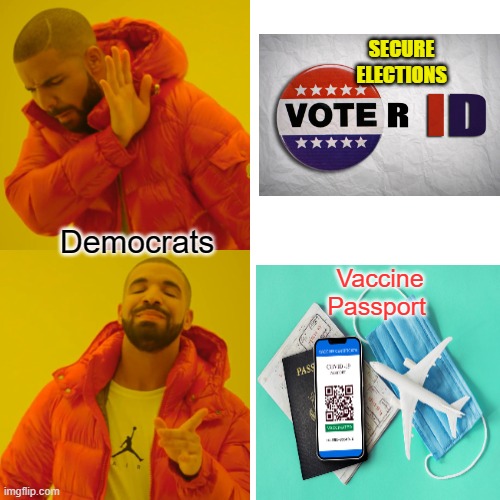 democrats on papers | SECURE ELECTIONS; Democrats; Vaccine Passport | image tagged in memes,drake hotline bling | made w/ Imgflip meme maker