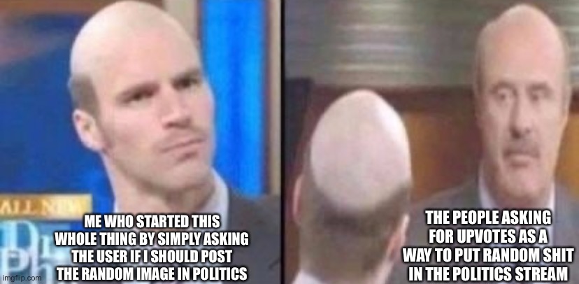 ME WHO STARTED THIS WHOLE THING BY SIMPLY ASKING THE USER IF I SHOULD POST THE RANDOM IMAGE IN POLITICS; THE PEOPLE ASKING FOR UPVOTES AS A WAY TO PUT RANDOM SHIT IN THE POLITICS STREAM | made w/ Imgflip meme maker