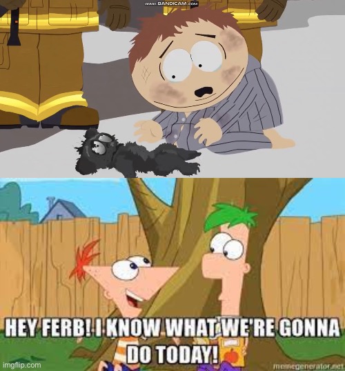 ferb | image tagged in cartman crying over something,hey ferb i know what we're gonna do today,phineas and ferb | made w/ Imgflip meme maker