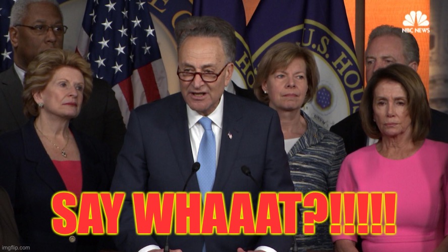 Democrat congressmen | SAY WHAAAT?!!!!! | image tagged in democrat congressmen | made w/ Imgflip meme maker