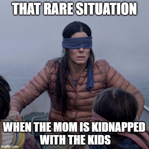 Bird Box | THAT RARE SITUATION; WHEN THE MOM IS KIDNAPPED 
WITH THE KIDS | image tagged in memes,bird box | made w/ Imgflip meme maker