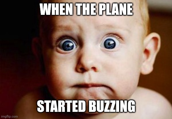 Scared Face | WHEN THE PLANE; STARTED BUZZING | image tagged in scared face | made w/ Imgflip meme maker