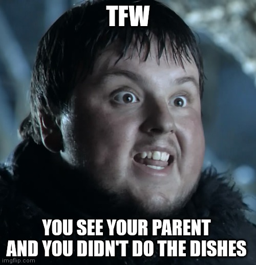 TFW YOU SEEE YOUR PARENTS AND YOU DIDNT DO THE DISHES | TFW; YOU SEE YOUR PARENT AND YOU DIDN'T DO THE DISHES | image tagged in that face when | made w/ Imgflip meme maker