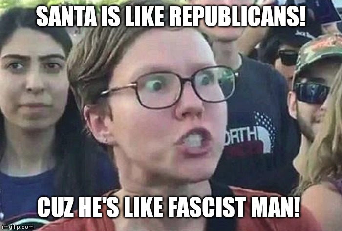 Triggered Liberal | SANTA IS LIKE REPUBLICANS! CUZ HE'S LIKE FASCIST MAN! | image tagged in triggered liberal | made w/ Imgflip meme maker