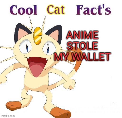 Meowth fact's | Cat; ANIME STOLE MY WALLET | image tagged in meowth,the,no anime,cat,pokemon,lol | made w/ Imgflip meme maker