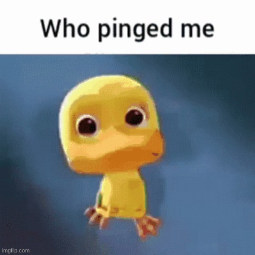 who pinged me | image tagged in sad | made w/ Imgflip meme maker