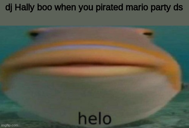 helo | dj Hally boo when you pirated mario party ds | image tagged in helo | made w/ Imgflip meme maker