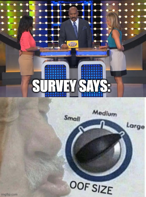 SURVEY SAYS: | image tagged in steve harvey family feud,oof size large | made w/ Imgflip meme maker