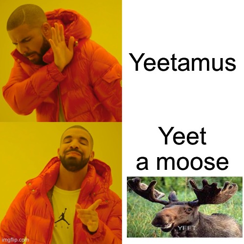 No judging | Yeetamus; Yeet a moose | image tagged in memes,drake hotline bling | made w/ Imgflip meme maker