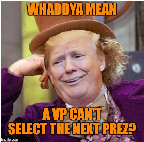 Only ones dumber than diaper don are his braindead supporters | WHADDYA MEAN; A VP CAN'T SELECT THE NEXT PREZ? | image tagged in wonka trump | made w/ Imgflip meme maker