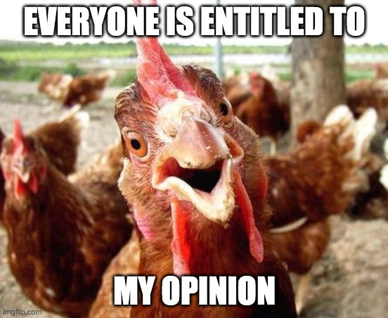 Advice chicken | EVERYONE IS ENTITLED TO; MY OPINION | image tagged in meme,opinion,loud mouth,advice | made w/ Imgflip meme maker