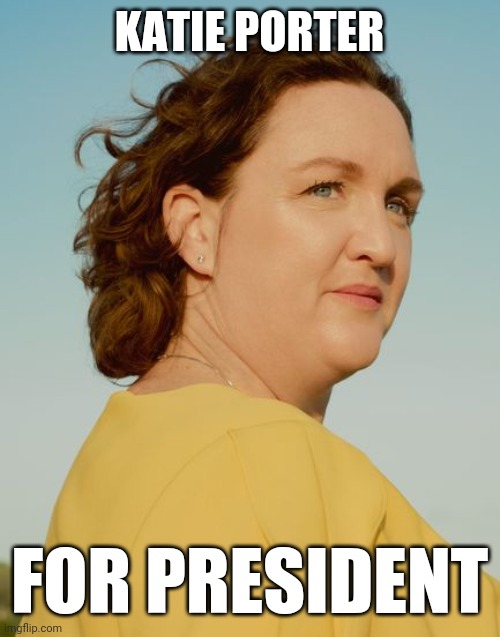 Teach 'em a lesson! | KATIE PORTER; FOR PRESIDENT | image tagged in katie porter | made w/ Imgflip meme maker