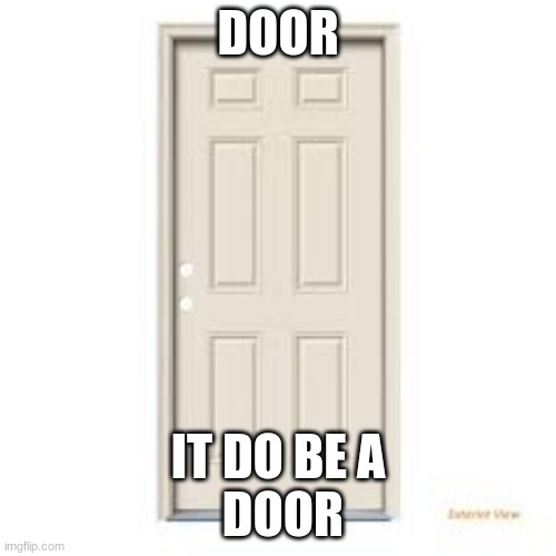 Door | DOOR; IT DO BE A
 DOOR | image tagged in door | made w/ Imgflip meme maker