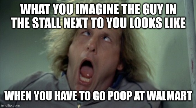 Don't you HATE having to use the bathrooms at Walmart? | WHAT YOU IMAGINE THE GUY IN THE STALL NEXT TO YOU LOOKS LIKE; WHEN YOU HAVE TO GO POOP AT WALMART | image tagged in memes,scary harry,bathroom stall,walmart | made w/ Imgflip meme maker