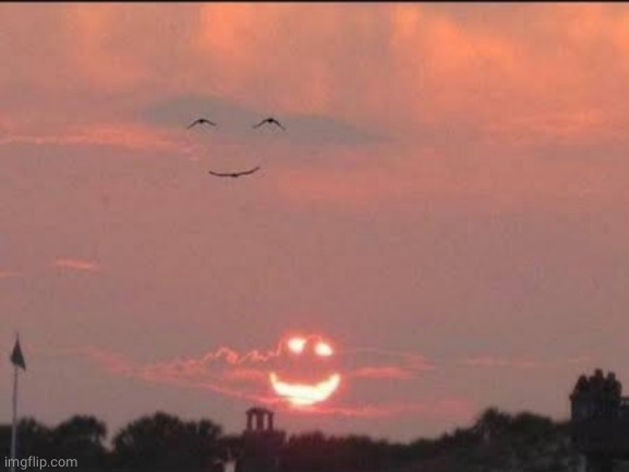 Smiling sun and birds | image tagged in smiling sun and birds | made w/ Imgflip meme maker