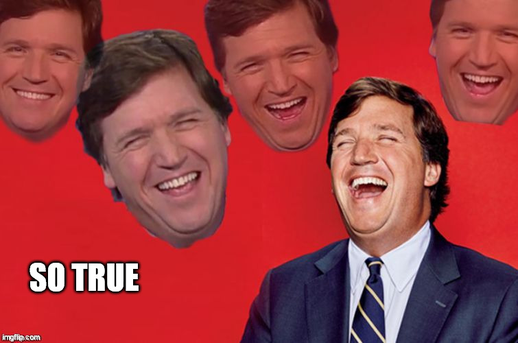 Tucker laughs at libs | SO TRUE | image tagged in tucker laughs at libs | made w/ Imgflip meme maker