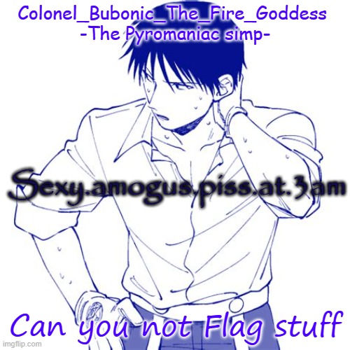 Haha another Roy temp Cry about it | Sexy.amogus.piss.at.3am; Can you not Flag stuff | image tagged in haha another roy temp cry about it | made w/ Imgflip meme maker